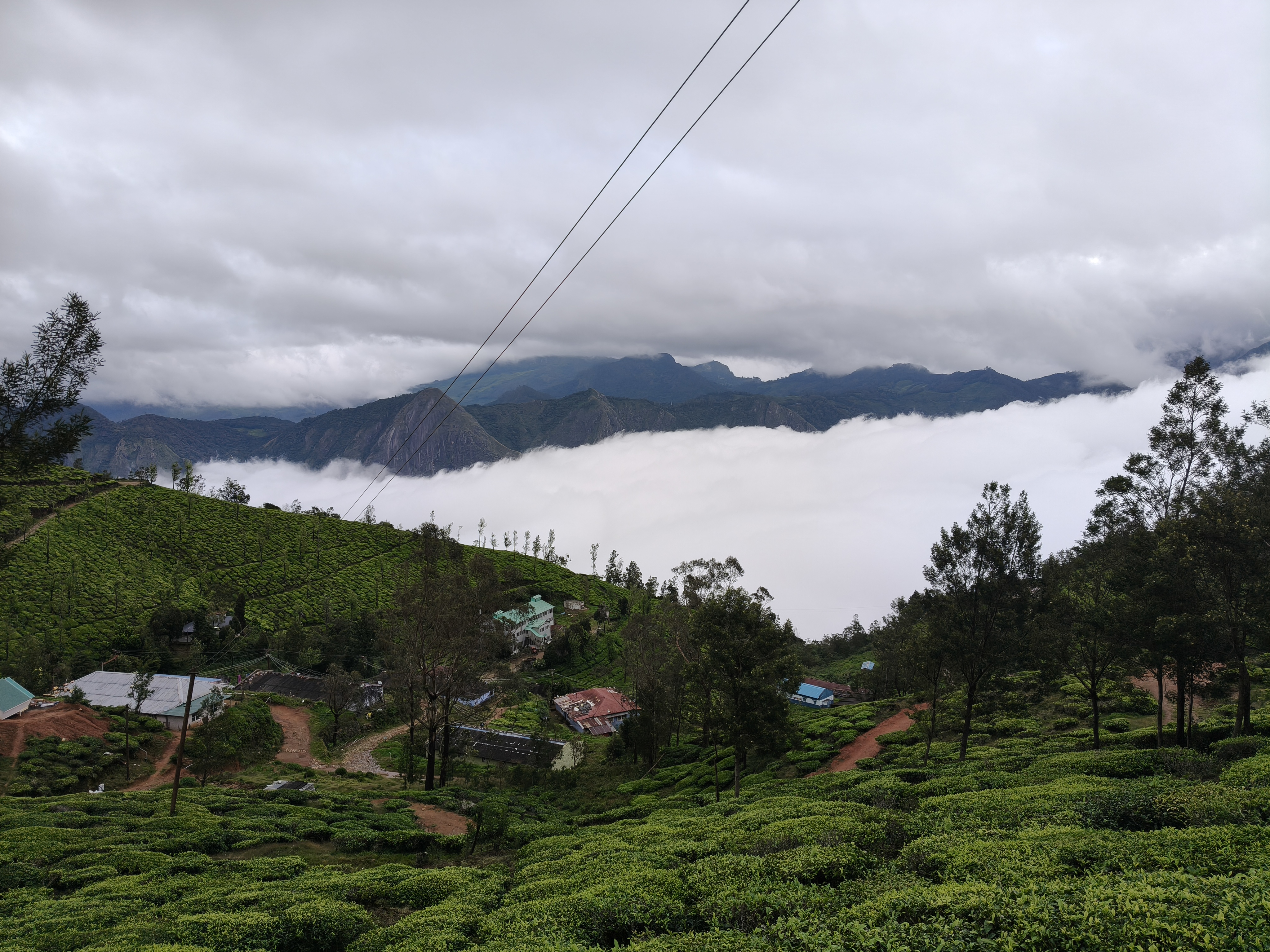 Kolukkumalai blue hour sunrise with cloud ocean and jeep safari viewpoint
